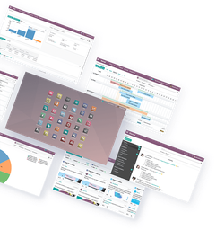 Pack Odoo 15 Platino